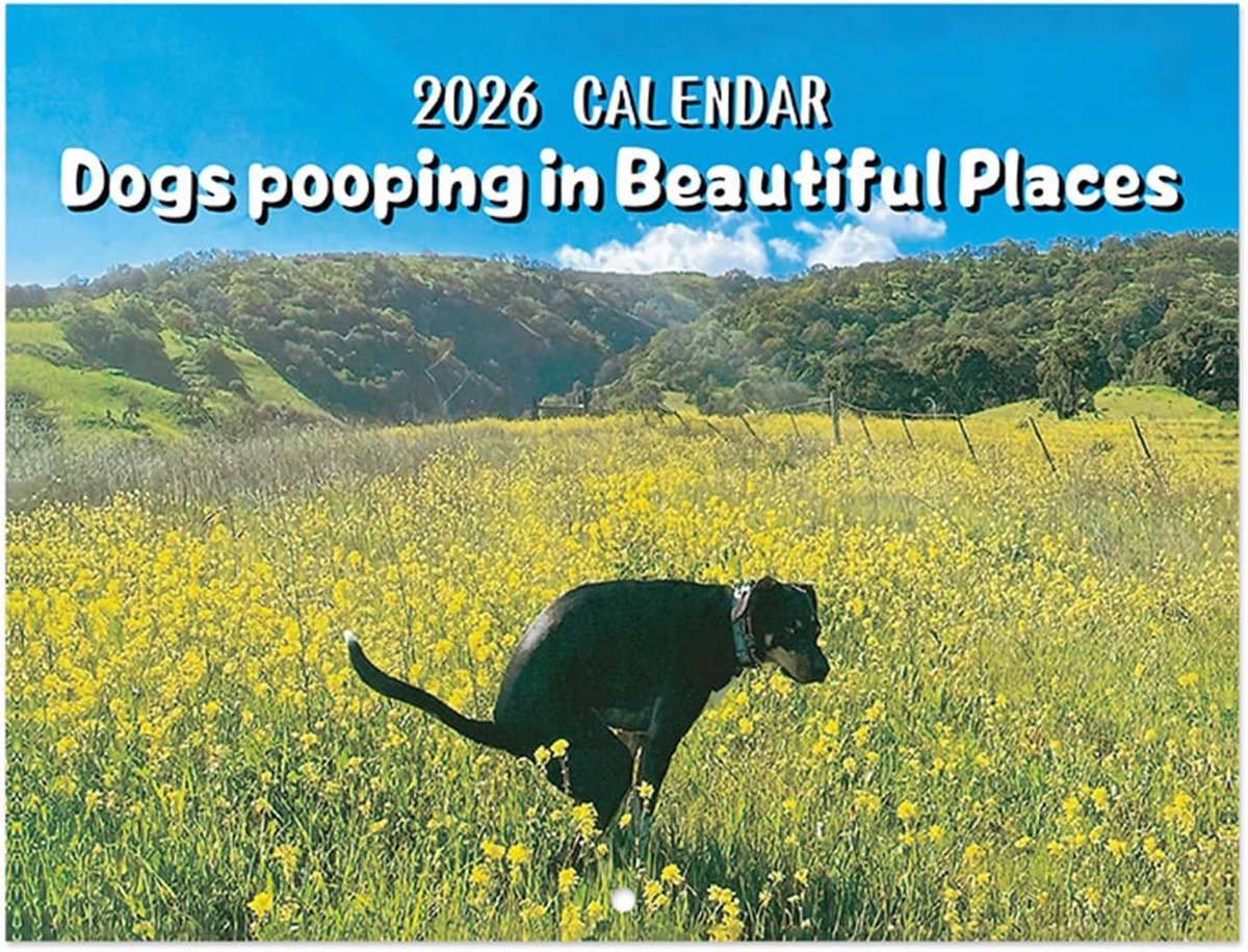 hondenkalender 2026, grappige hondenkalender 2026 Dogs Pooping in Beautiful Places, pooping Dogs kalender 2026 dieren klapperende hondenkalender 2026 (groen)