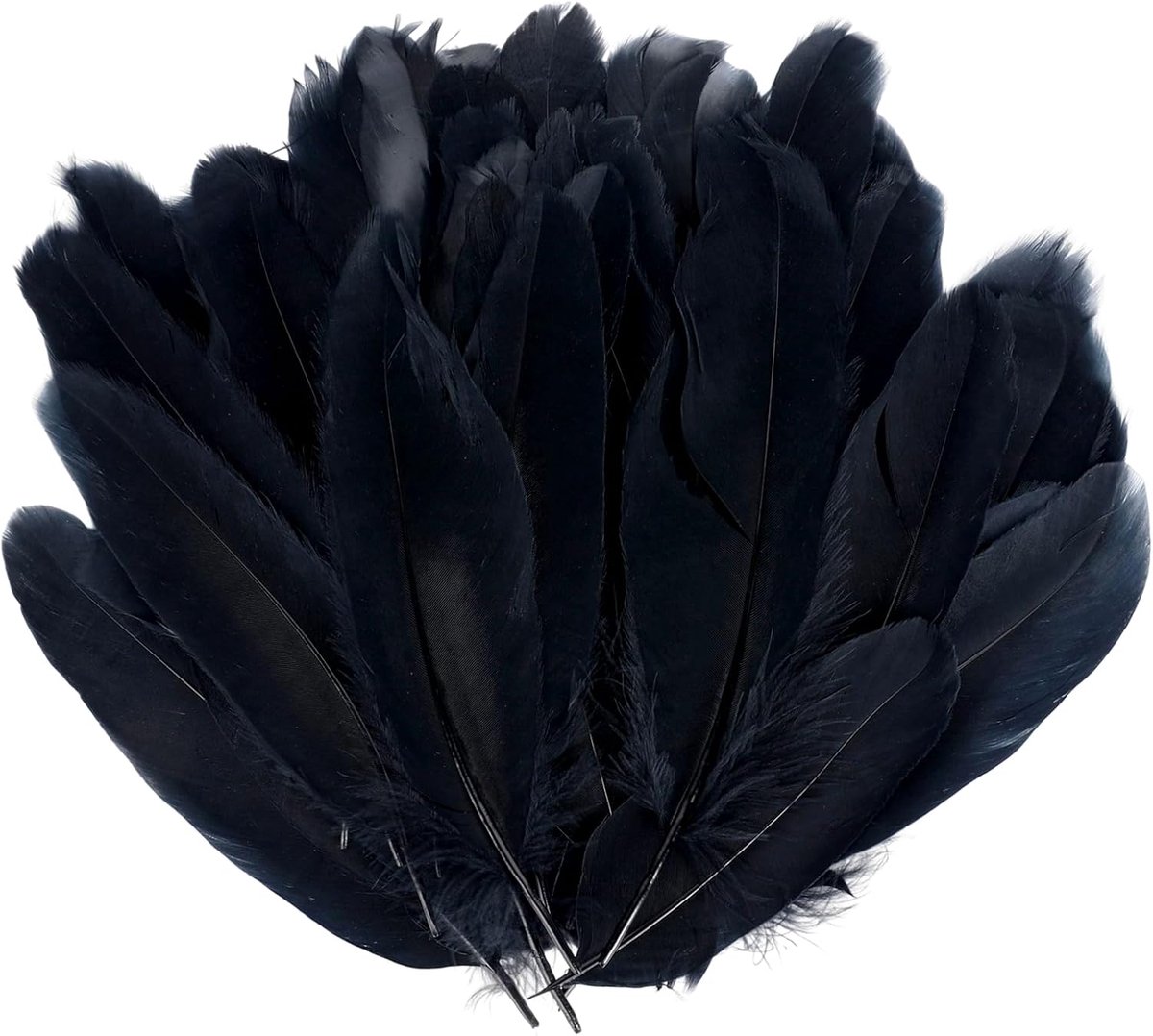 Veren om te knutselen, natuurlijke knutselveren, veerdecoraties voor dromenvangers, kostuums, doe-het-zelf knutselwerk, bruiloftsdecoraties, Halloween, carnaval (zwart)