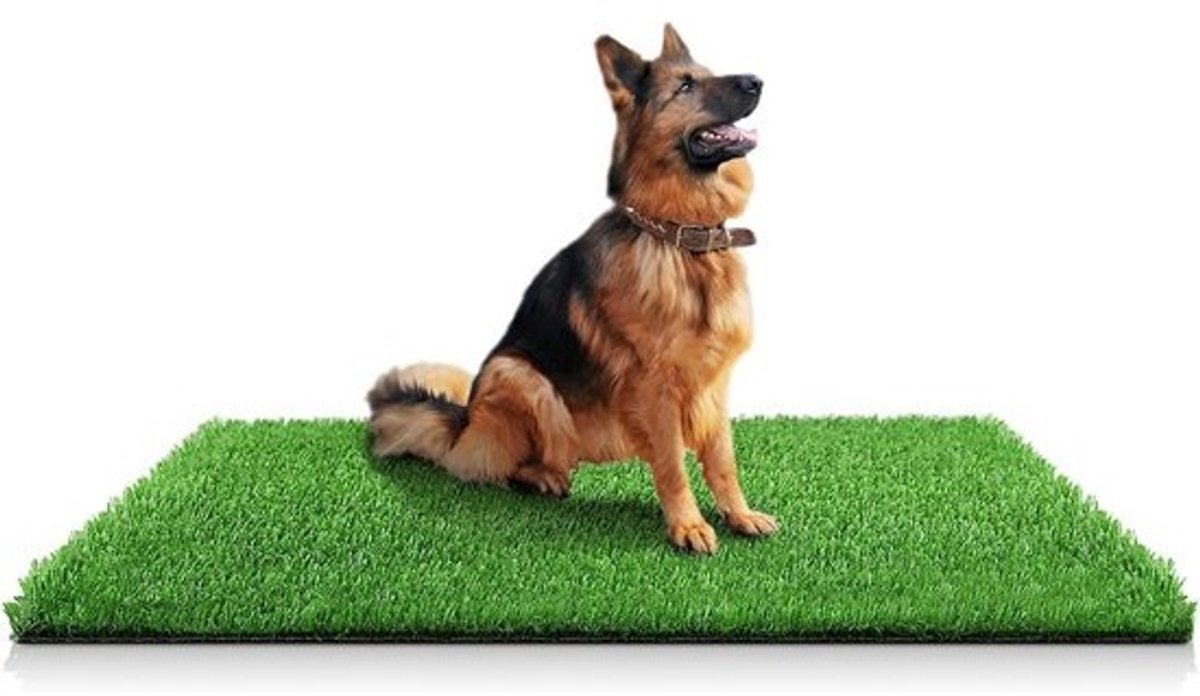 Realistisch Kunstgras voor Honden en Puppy's - Zindelijkheidstraining en Tuindecoratie 100x150 cm