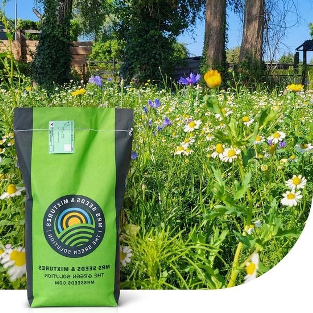 Graszaad met bloemenmix - Bloemenweide zaad - Kleurrijke tuin creëren - 80% gras 20% bloemen - 5 kg - Multicolor
