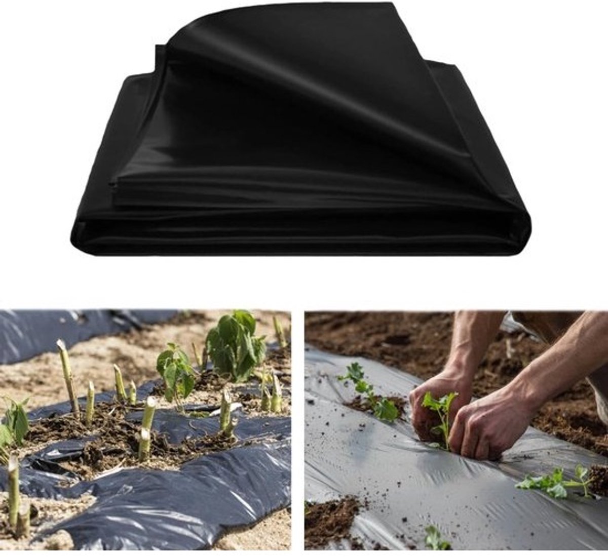 Onkruiddoek - Mulchfolie Tuin - Planten Beschermen - Herbruikbaar Polyethyleen - 2 x 6 meter - Zwart