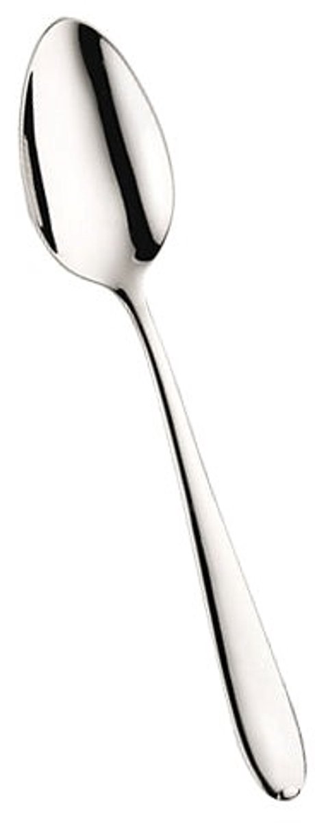 Pintinox Palladium koffielepel