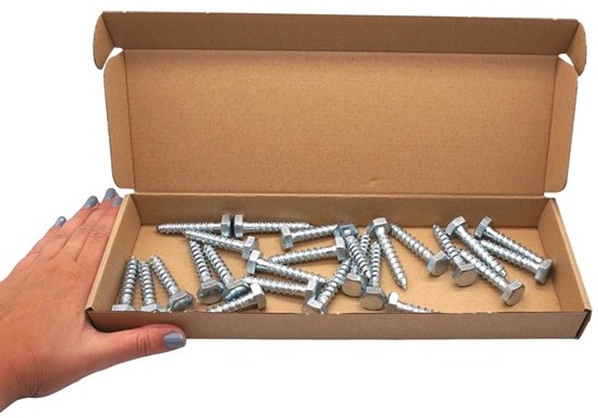 Houtschroeven M10 x 55 mm - Verzinkt Staal - Zeskantkop Bouten (25 stuks)
