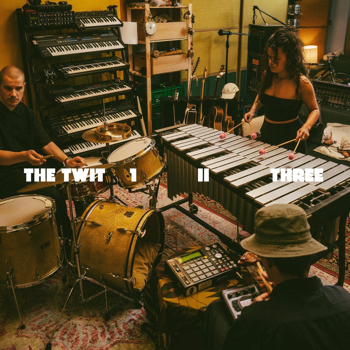 The Twit 1, II, Three - The Twit 1, II, Three (LP)