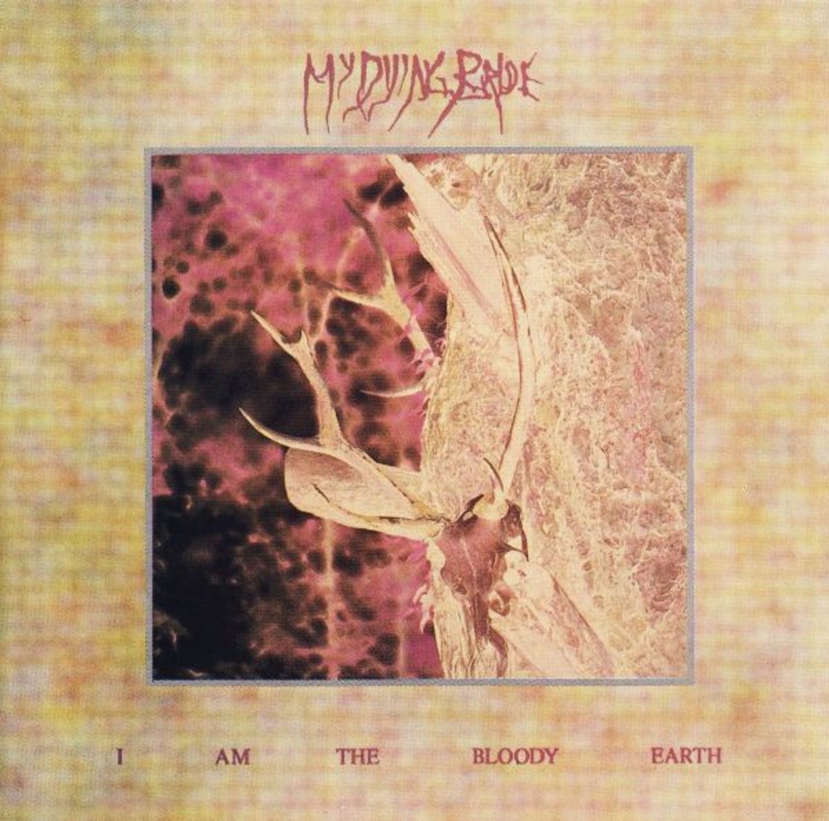 My Dying Bride : I Am the Bloody Earth CD