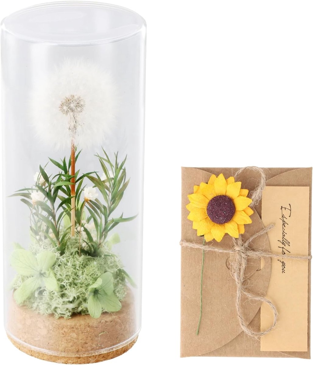 Decoratieve glazen vaas met echte paardenbloemen, uniek cadeau voor vrouwen, gelukssymbool, lente decoratie en dried flowers