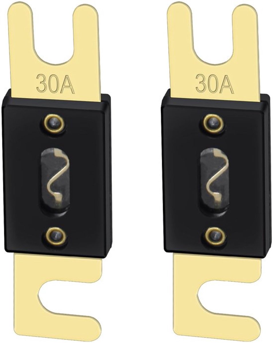 Solidchoice Dailygoody Fuse 30 Amp Betrouwbaar voor Auto Audio Systemen Goud