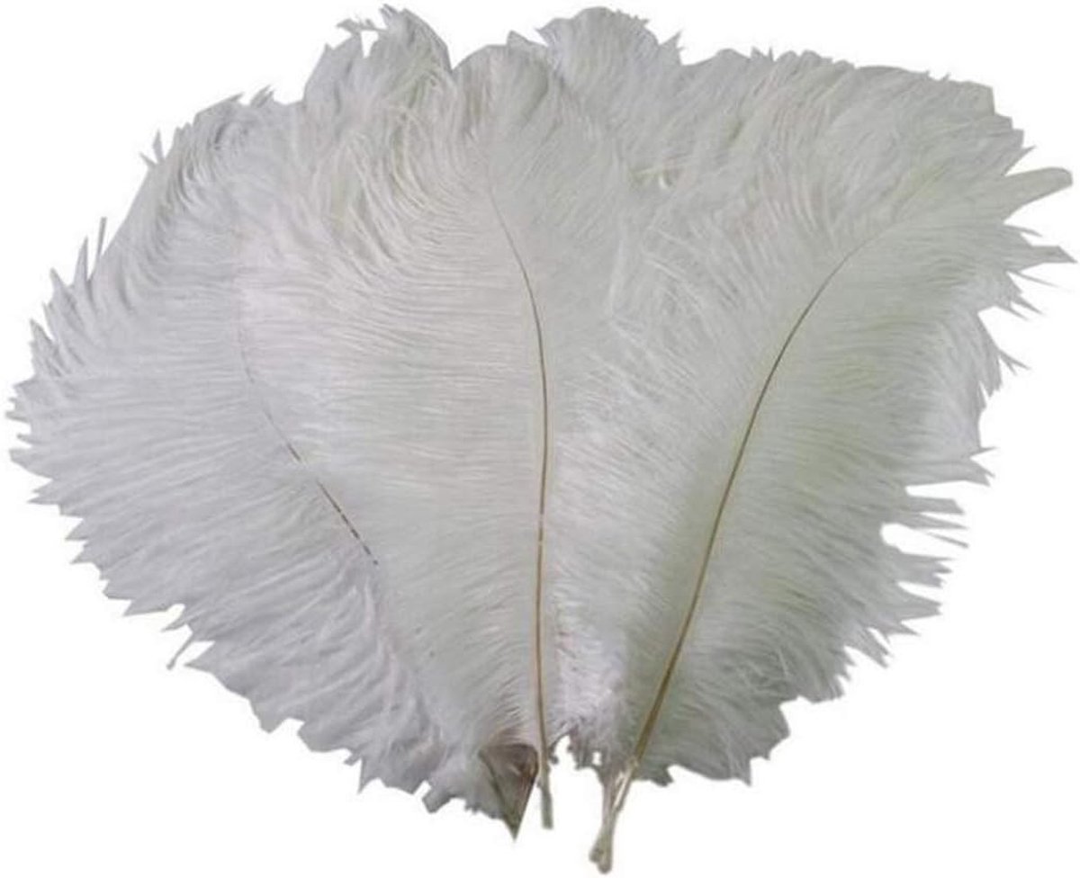 Natuurlijke Struisvogelveren Pluimen voor Decoratie, Feest, Bruiloft en DIY Crafting - 50 Stuks in Wit
