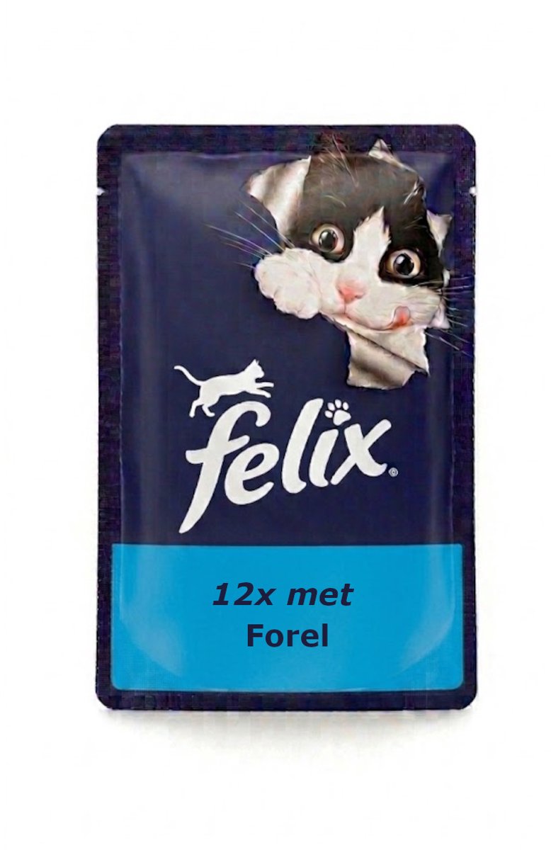 Felix Elke Dag Feest Senior 7+ Forel in Gelei - Monopack - 12x85g