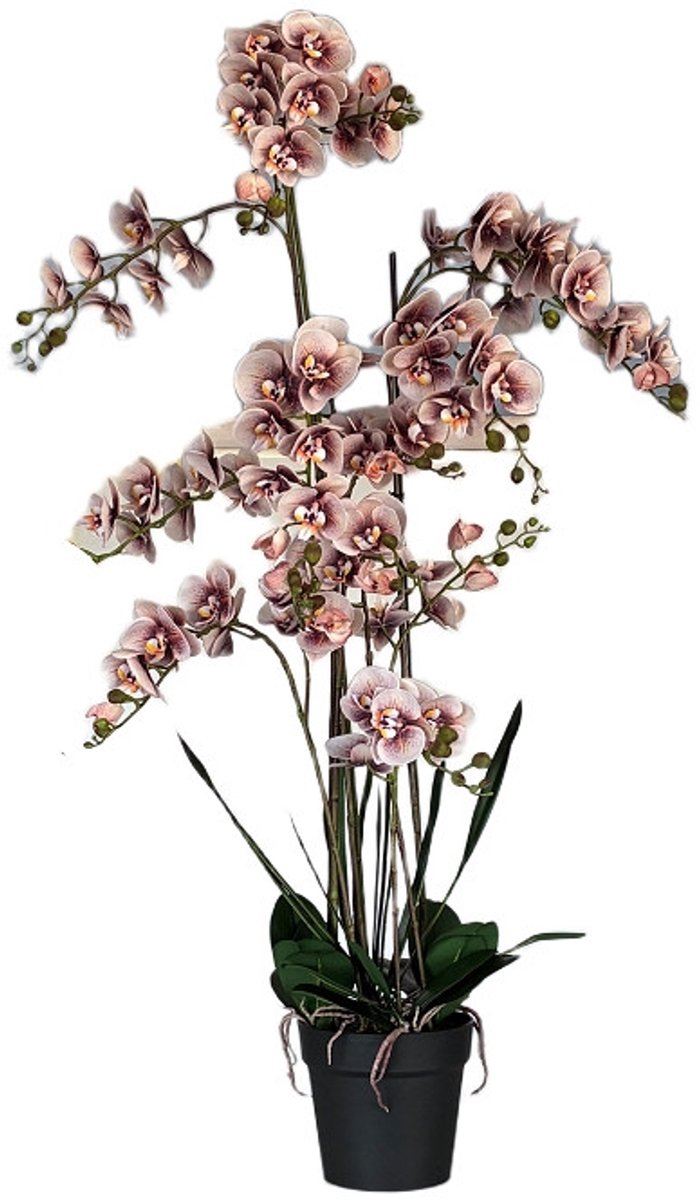 Hendriks Deco Zijden Orchidee- Zijden Phalaenopsis- Kunst Plant- Nep Plant- Zalm Kleur- Groot 150cm