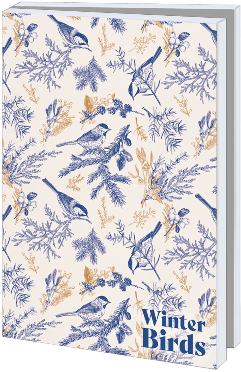 Kerstkaarten 10x - Kaartenmapje met env, groot: Winter Birds - 2x5 motieven