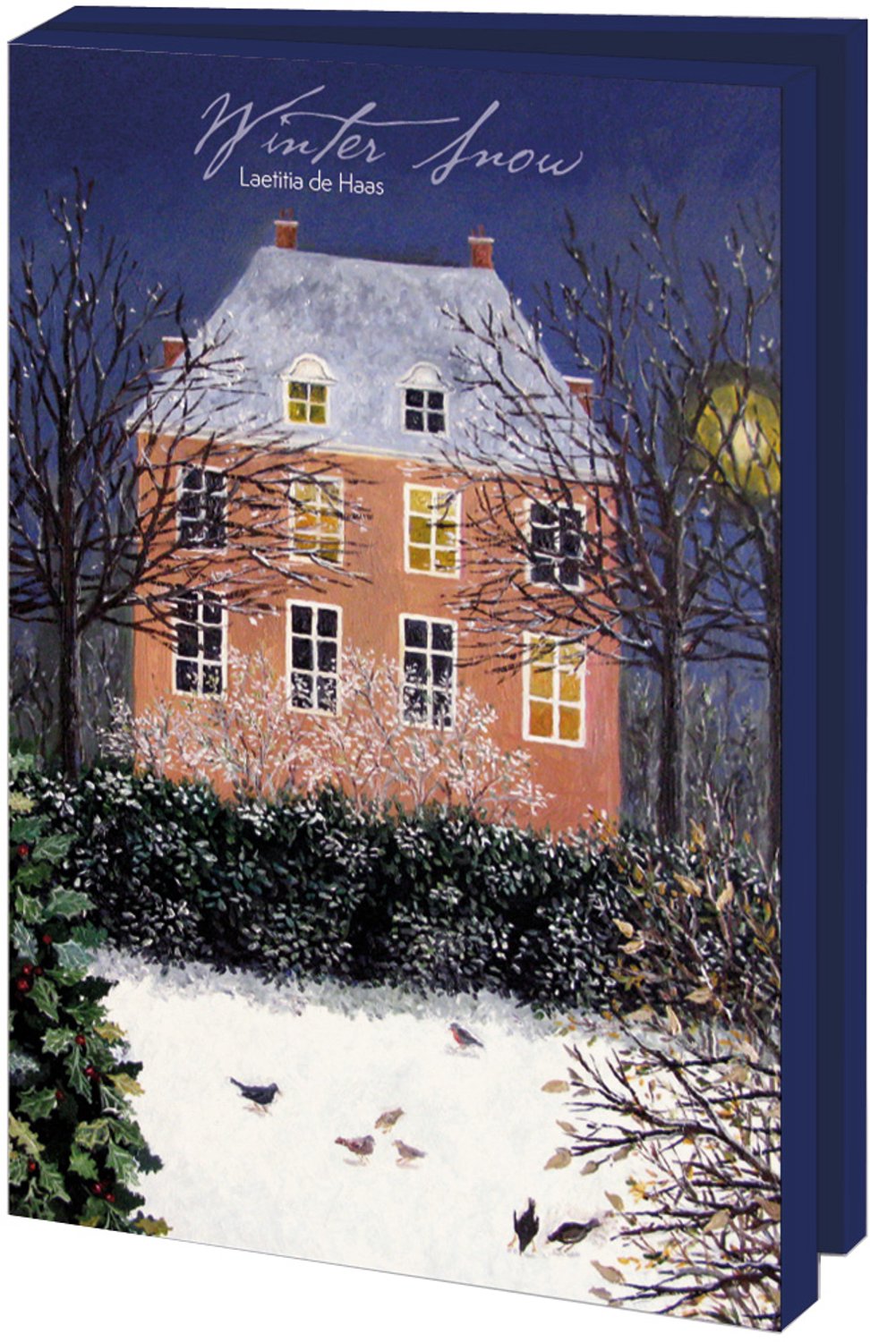 Kerstkaarten 10x - Kaartenmapje met env, groot: Winter Snow, Laetitia de Haas - 2x5 motieven