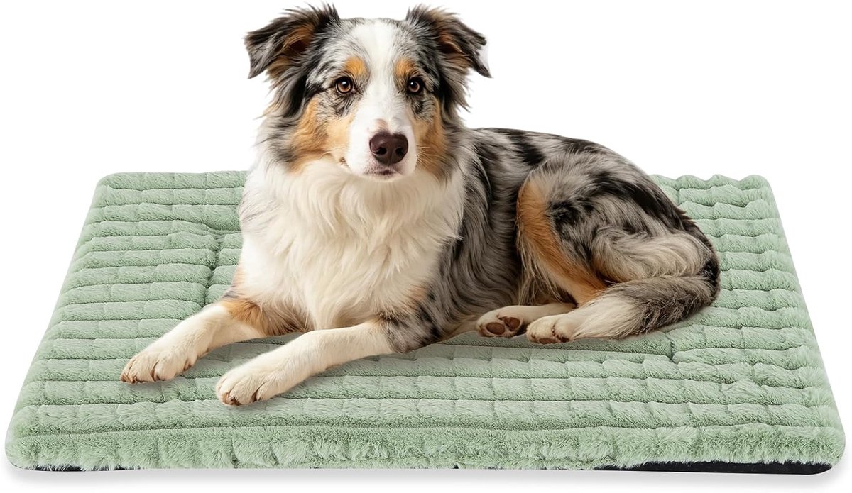 Hondenbed, kussen voor huisdieren, zacht kussen, zeer zacht, antislip onderkant, 100 x 70 cm, groen