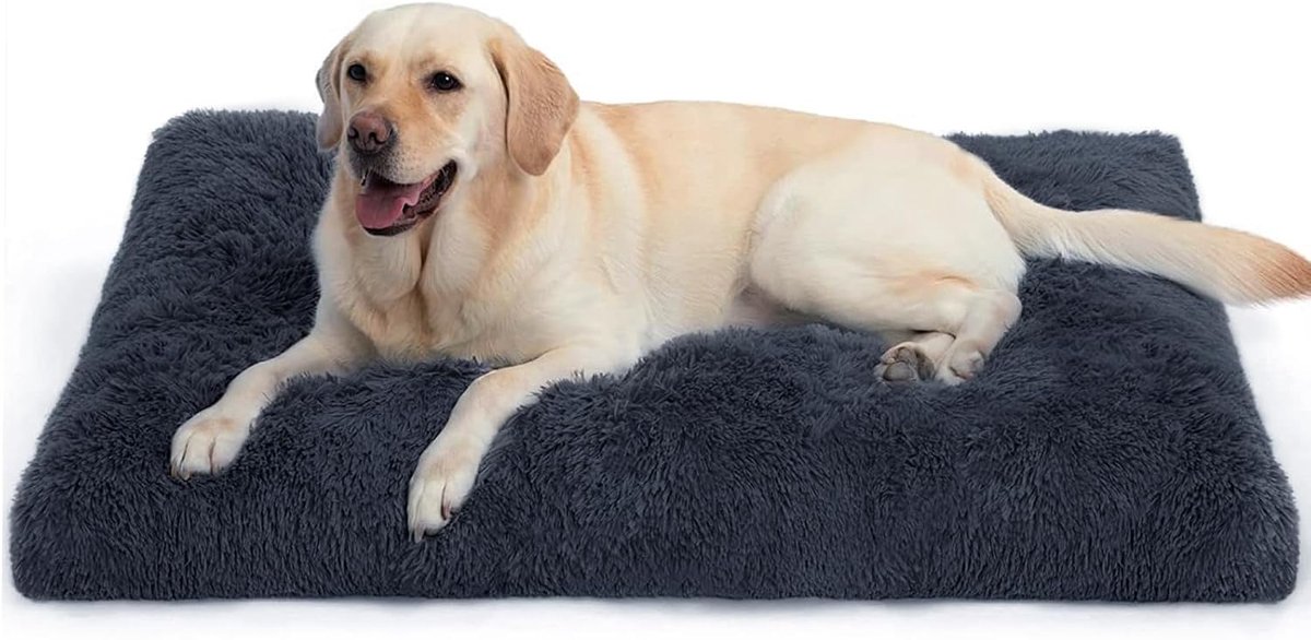 Hondenbed, kattenbed, klein hondenkussen, wasbaar, 75 x 50 x 6 cm, antislip onderzijde, donkergrijs