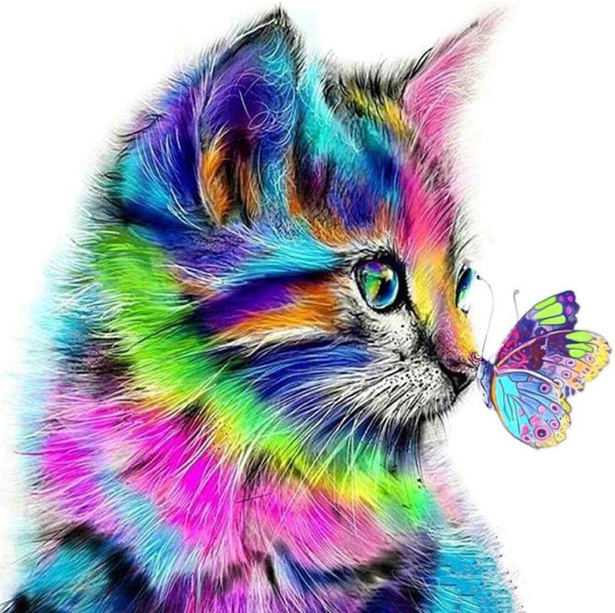 Vierkante boor 5D DIY Diamond schilderij kat vlinder 3D borduurwerk Cross Stitch 5D Home Decor Gift frameloze 40x40cm