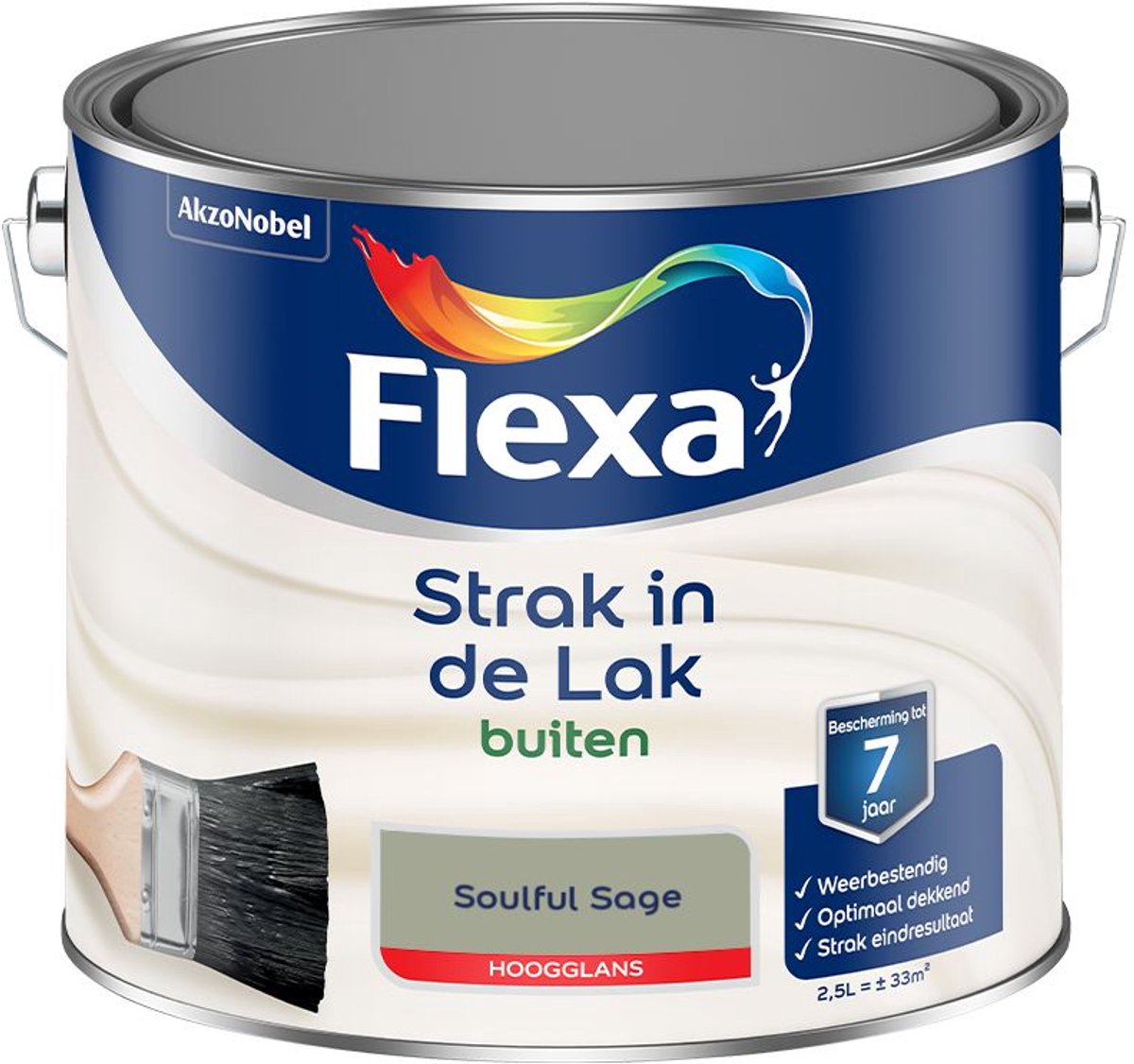 Flexa - Strak In De Lak Buitenlak Hoogglans - Soulful Sage - 2,5 L - Kleur Van Het Jaar 2027