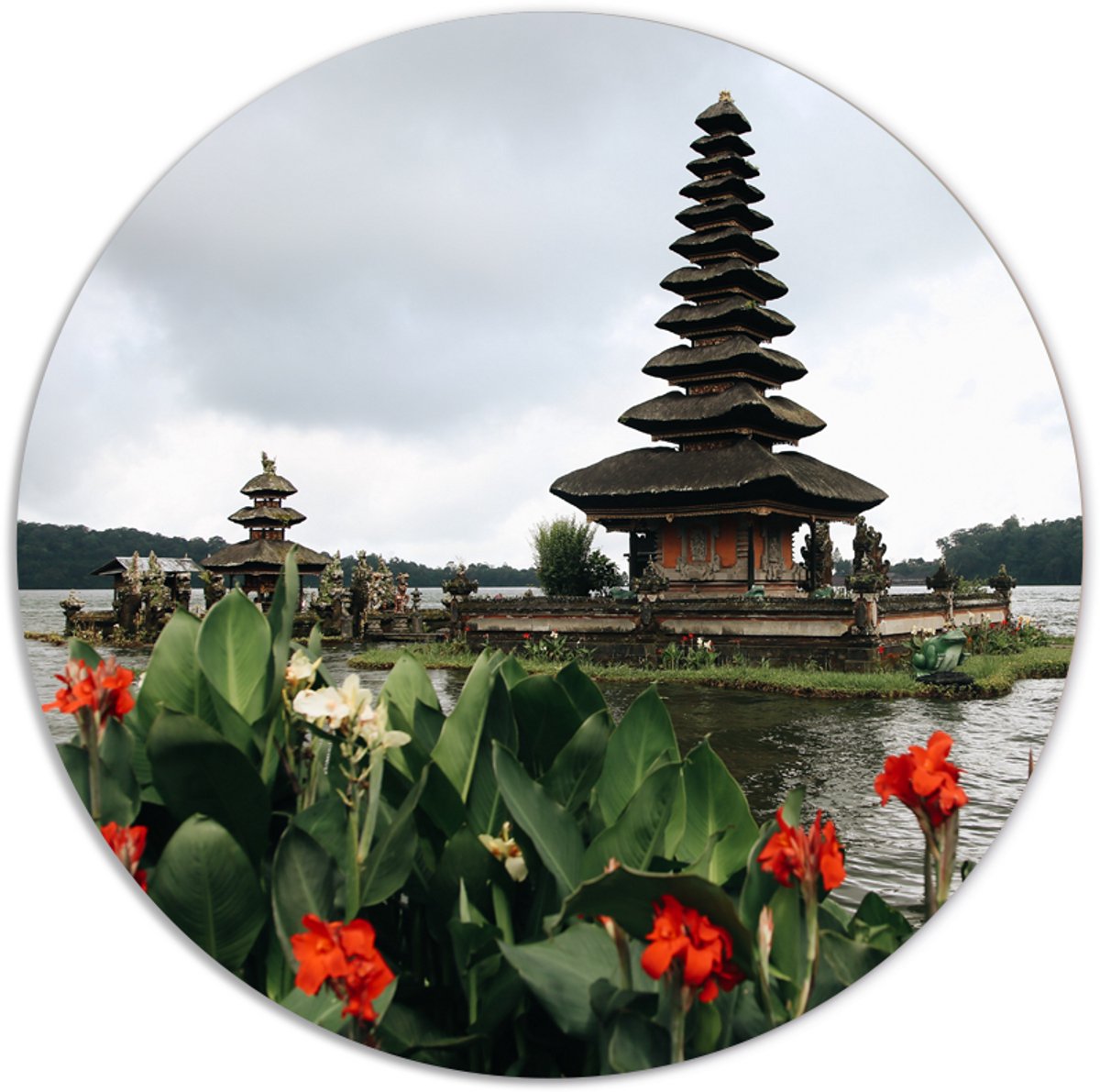 Label2X - Muurcirkel garden - Ø 70 cm - Forex - Multicolor - Wandcirkel - Rond Schilderij - Muurdecoratie Cirkel - Wandecoratie rond - Decoratie voor woonkamer of slaapkamer