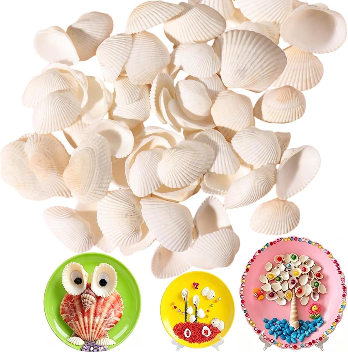 natuurlijke schelpen, decoratie, witte sint-jakobsschelpen, maritieme hangdecoratie, witte sint-jakobsschelpen voor het maken van kaarsen, woondecoratie, feest, bruiloftsdecoratie