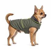 Hondenjas 25 cm – Waterdicht & Windbestendig – Winterjas Kleine Hond – Chihuahua – Reflecterend