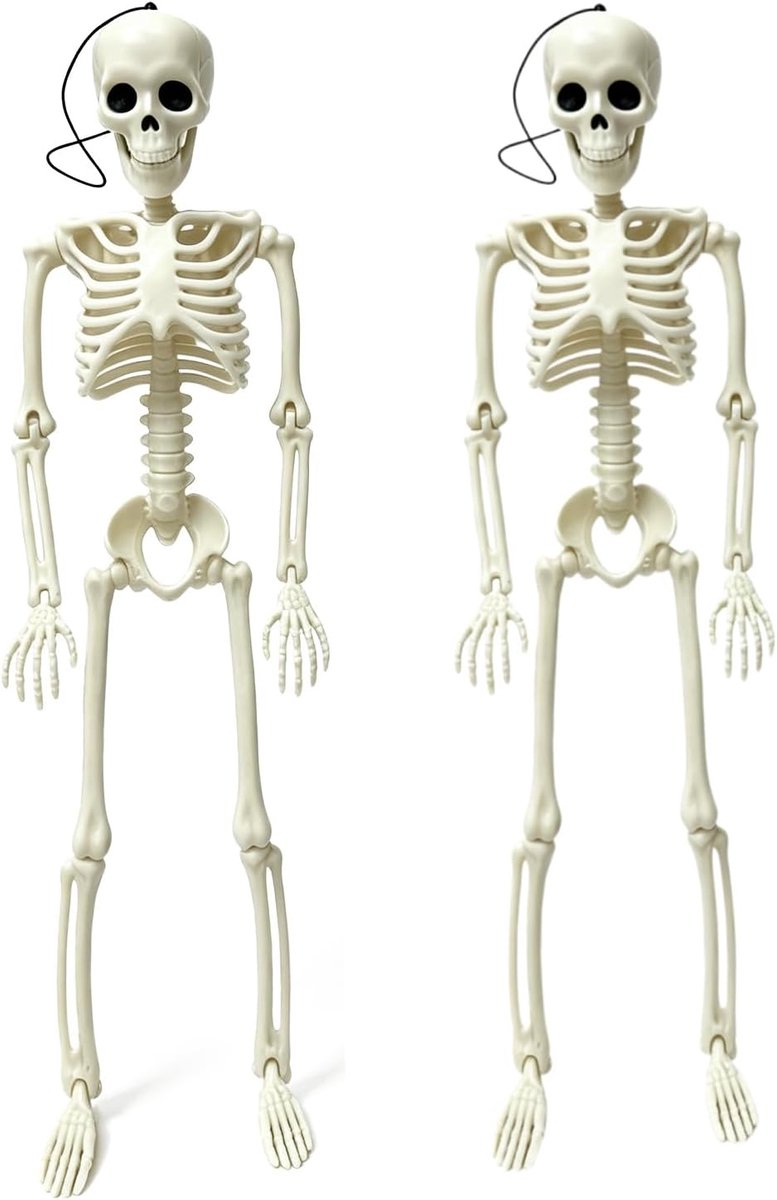Hangend Halloween-skelet, 35 cm, full-body skelet met gewrichten