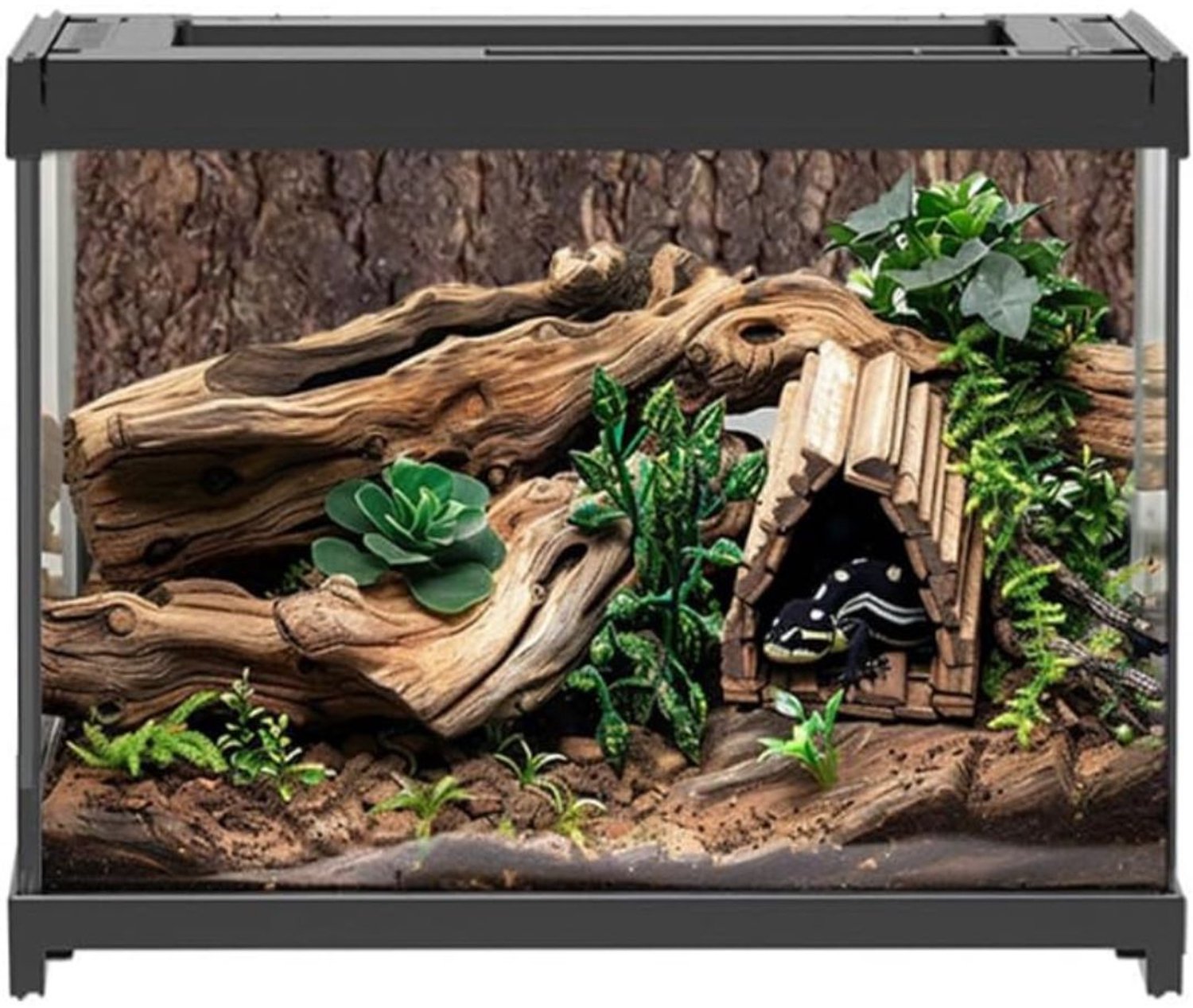 Zolvano® Terrarium - Ecosysteem - Reptielenverblijf - Dierenhuisvesting