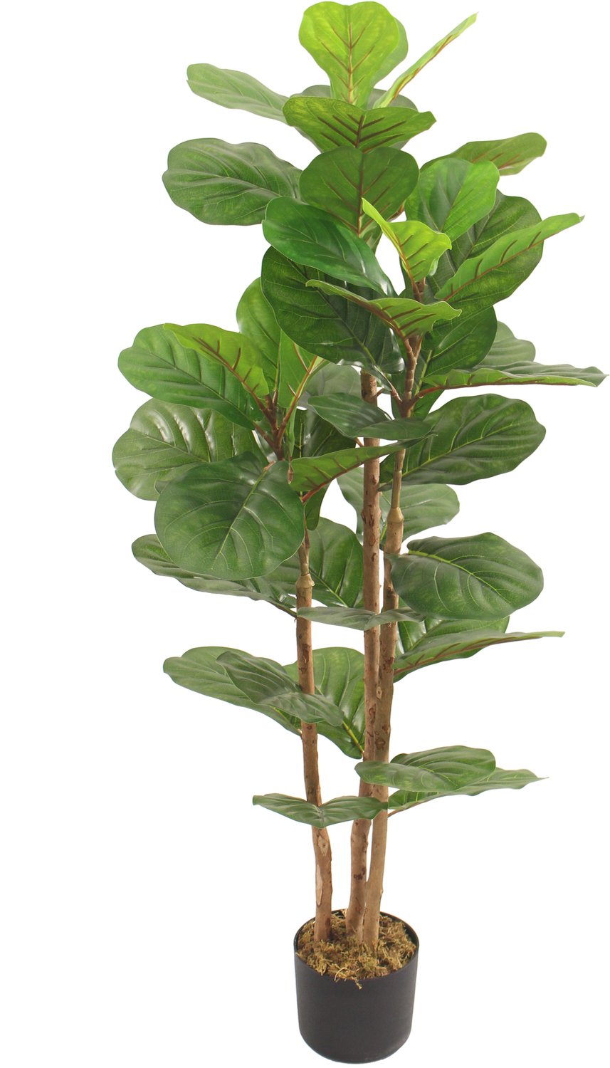 Kunstplant Fiddle ficus lyrata 120cm