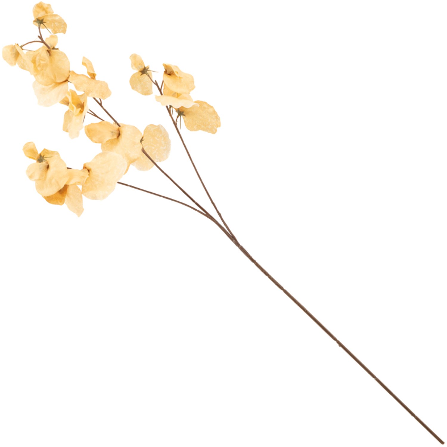 Kunstbloem Lathyrus 74cm beige