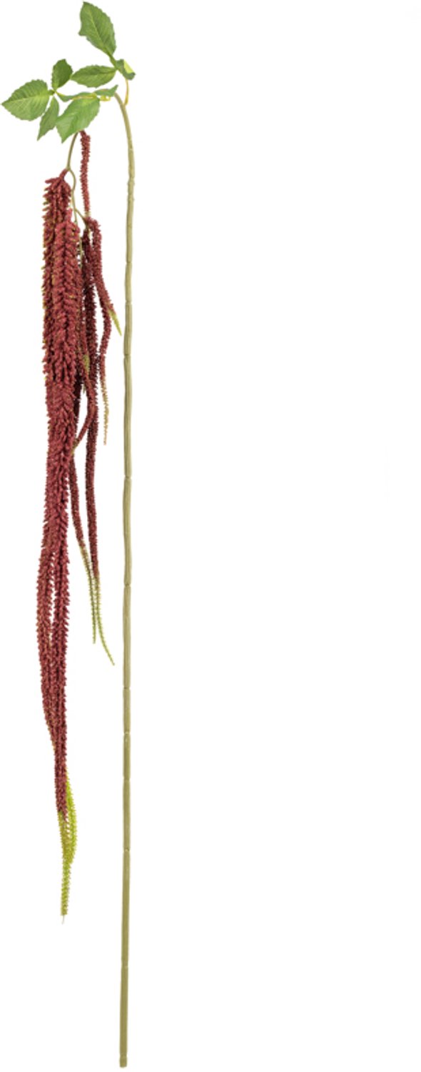 Kunsttak Amaranthus 215cm burgundy