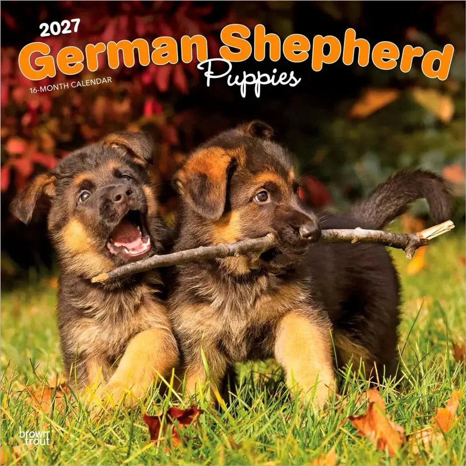 Duitse Herder Puppies Kalender 2027