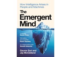 The Emergent Mind