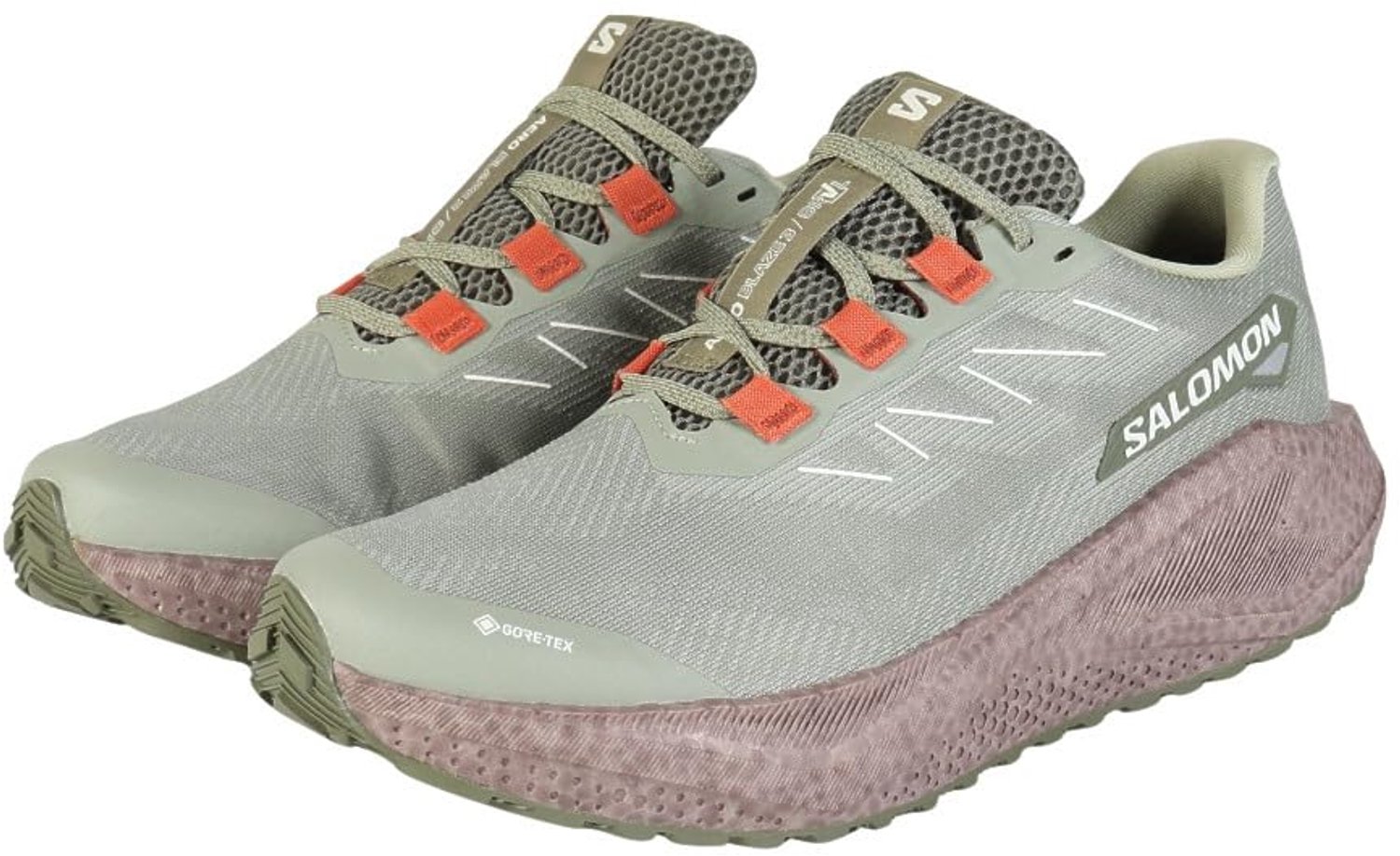 Salomon Aero Blaze 3 GRVL GTX - Hardloopschoenen - Tea Iron Burnt Ochre - Maat 44.5 EU