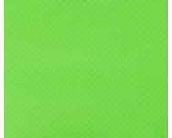 Funbee Green Pennyboard voor Kinderen en Jongeren