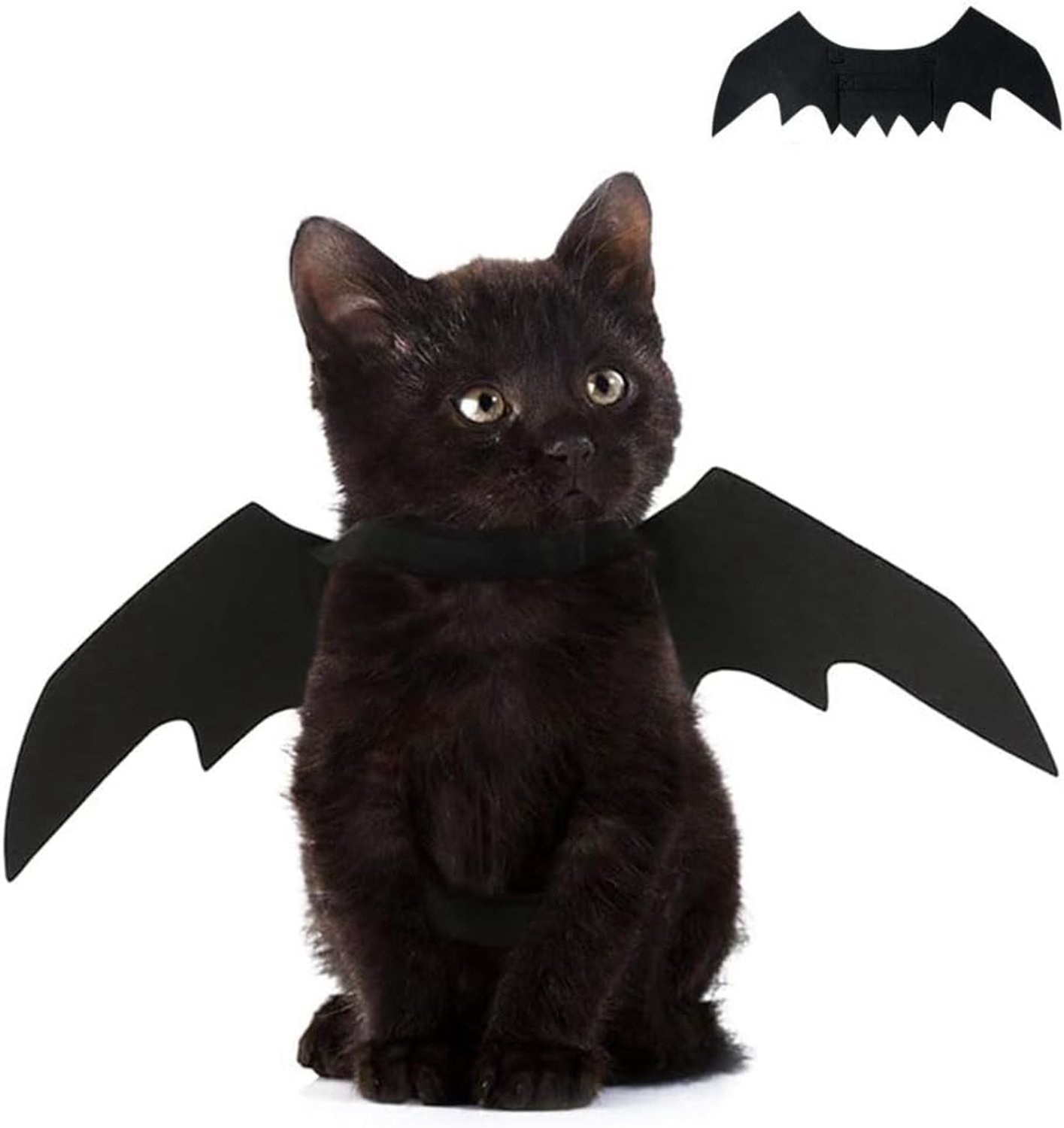 Vleermuisvleugels voor katten, Halloween-decoratie voor honden, borst, vleermuisrug, maat S