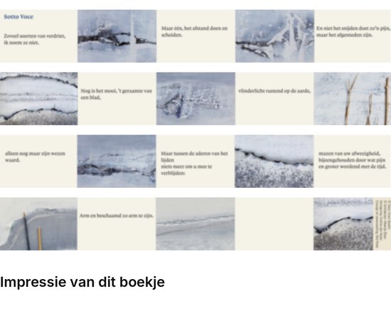 Overzicht van paginastroken uit het boekje met poëtische tekst en abstracte ijzige landschapsillustraties.