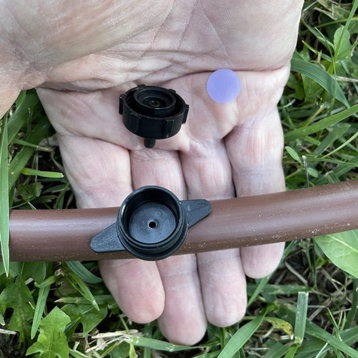 Druppelirrigatie, zelfbalancerend, debiet 4 l/u, druppelirrigatie, voor buizen van 16 mm, 20 mm en micro-buizen - werkdruk 0,5 tot 3 atms - 60 stuks