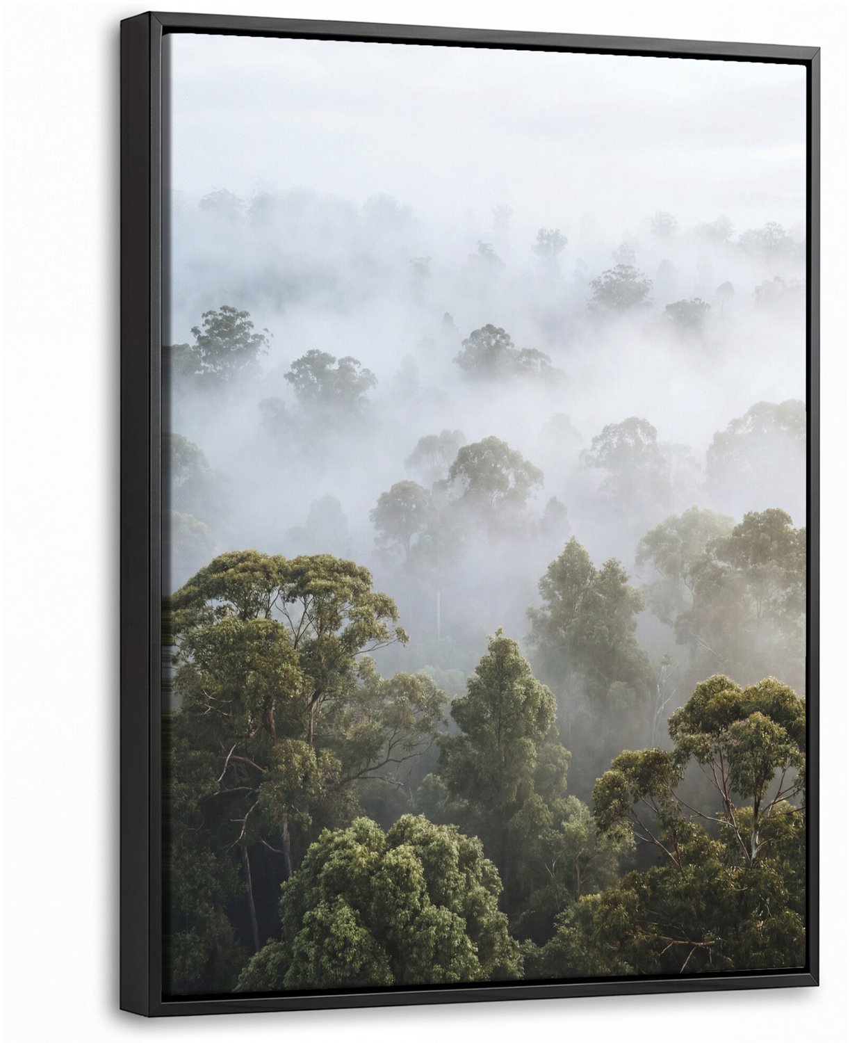 Canvas Schilderij met Baklijst - Natuur - Mist - Bos - Ochtend - Goud