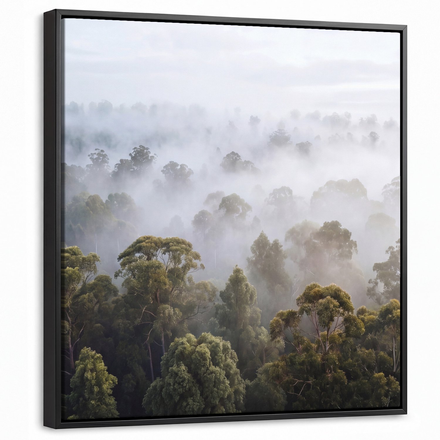 Canvas Schilderij met Baklijst - Natuur - Mist - Bos - Ochtend - Goud