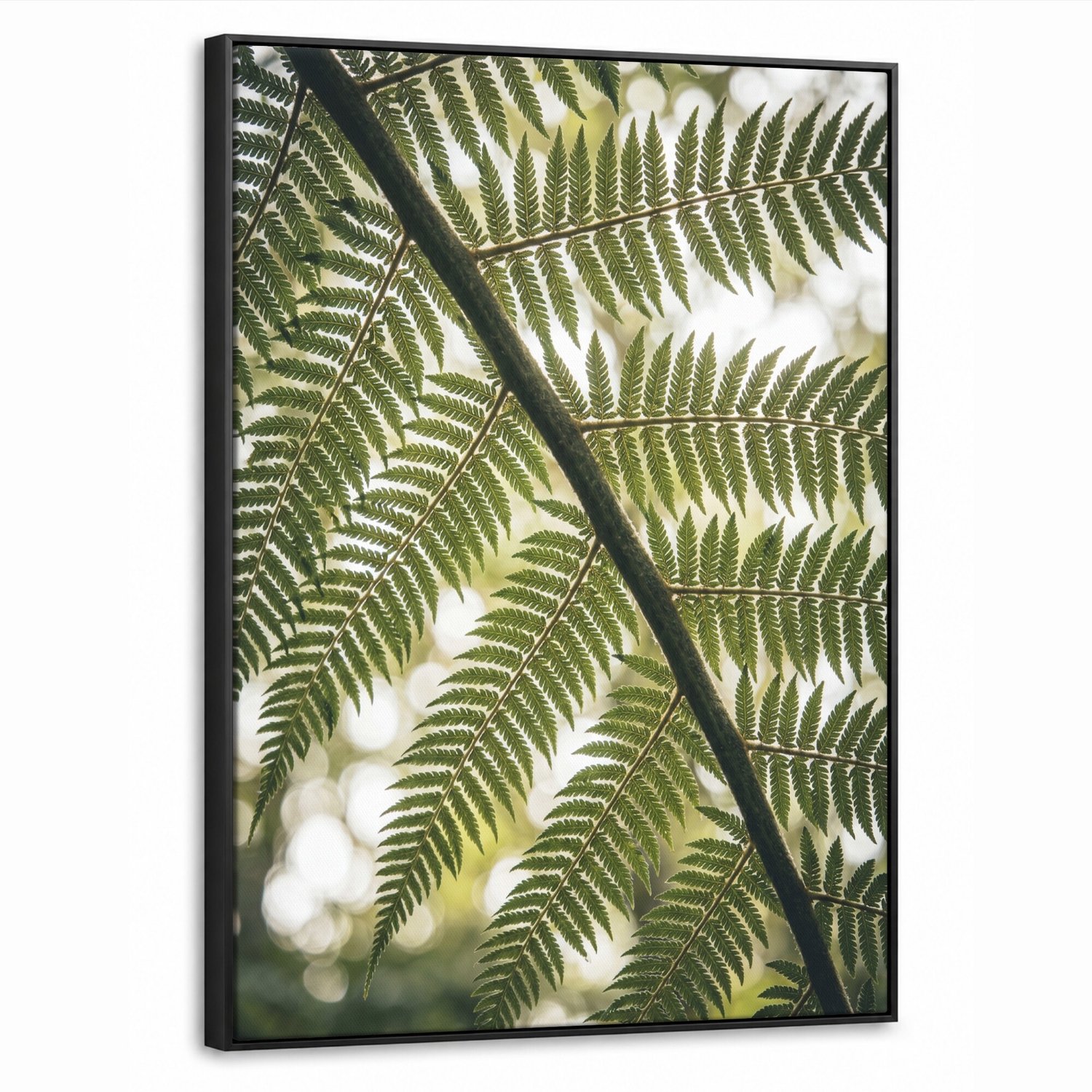 Canvas Schilderij met Baklijst - Plant - Blad - Natuur - Groen - Detail