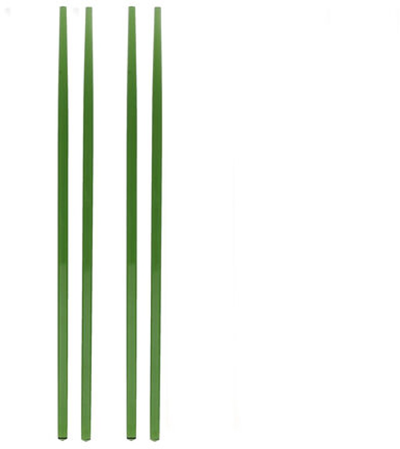 Fameilleur eetstokje glas groen Tilly set van 4 - glazen chopsticks, voor sushi, noodles en Aziatische gerechten, vaatwasserbestendig, voedselveilig, servies voor thuis, restaurant en horeca, mooi als cadeau