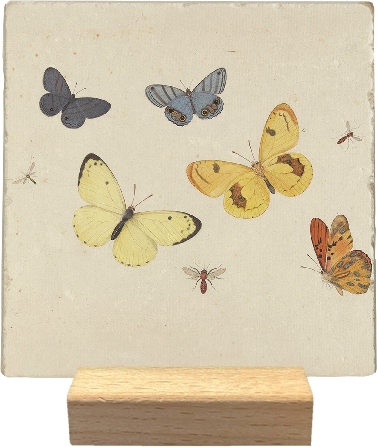 Artige Decoratie tegel - Vlinders en insecten - natuursteen - 10x10 cm - inclusief houder Beige