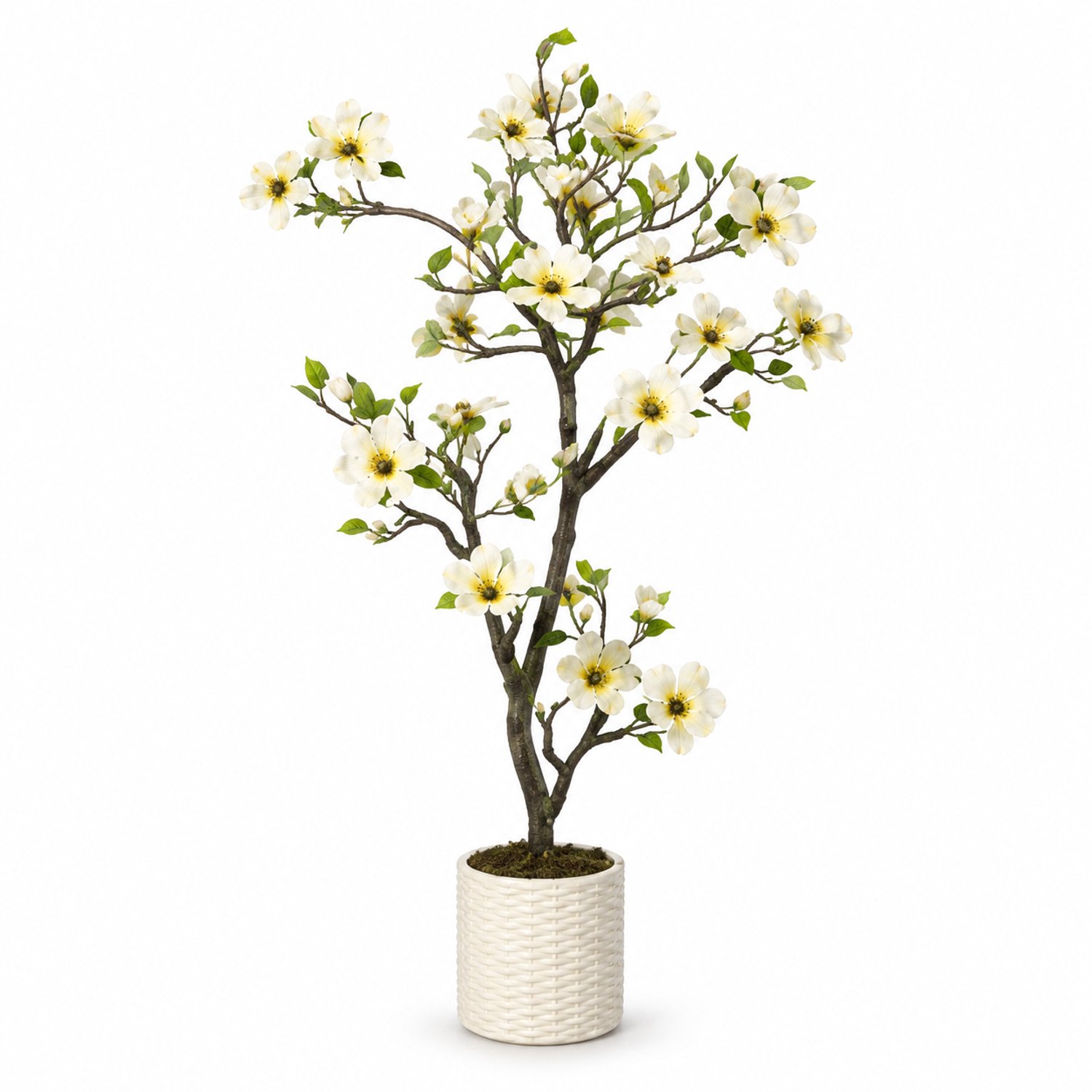 Lamor Kunst Magnolia - Kunstplant in pot - Kunstplanten voor binnen - Plant - Planten - Nepplant - Bloesemboom - 180 cm