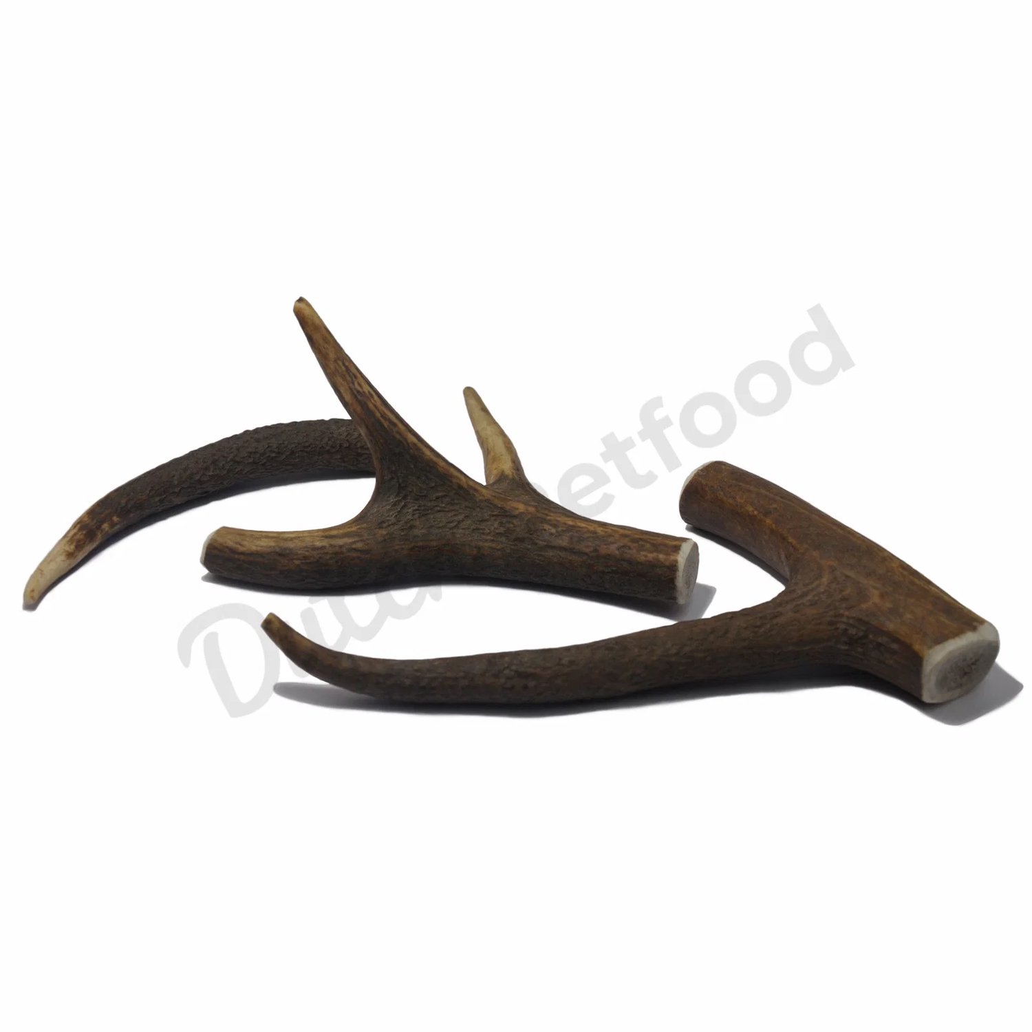 Hertengewei XL (226-275 gram) 6 stuks