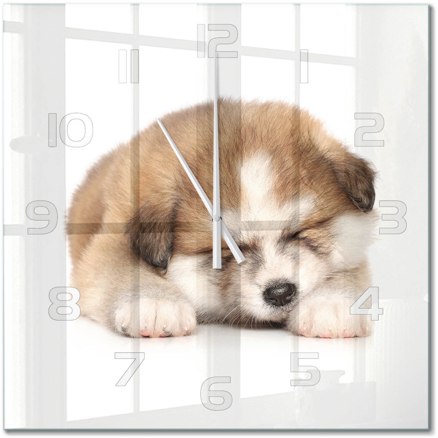 TULUP Wandklok - Akita-puppy Wandklok Glas Decoratie - 60x60 cm - Oranje Gekleurde Glazen Klok - Witte handen - Vierkante Klok - Klok Glas Met Opdruk - Moderne Wandklok Glas