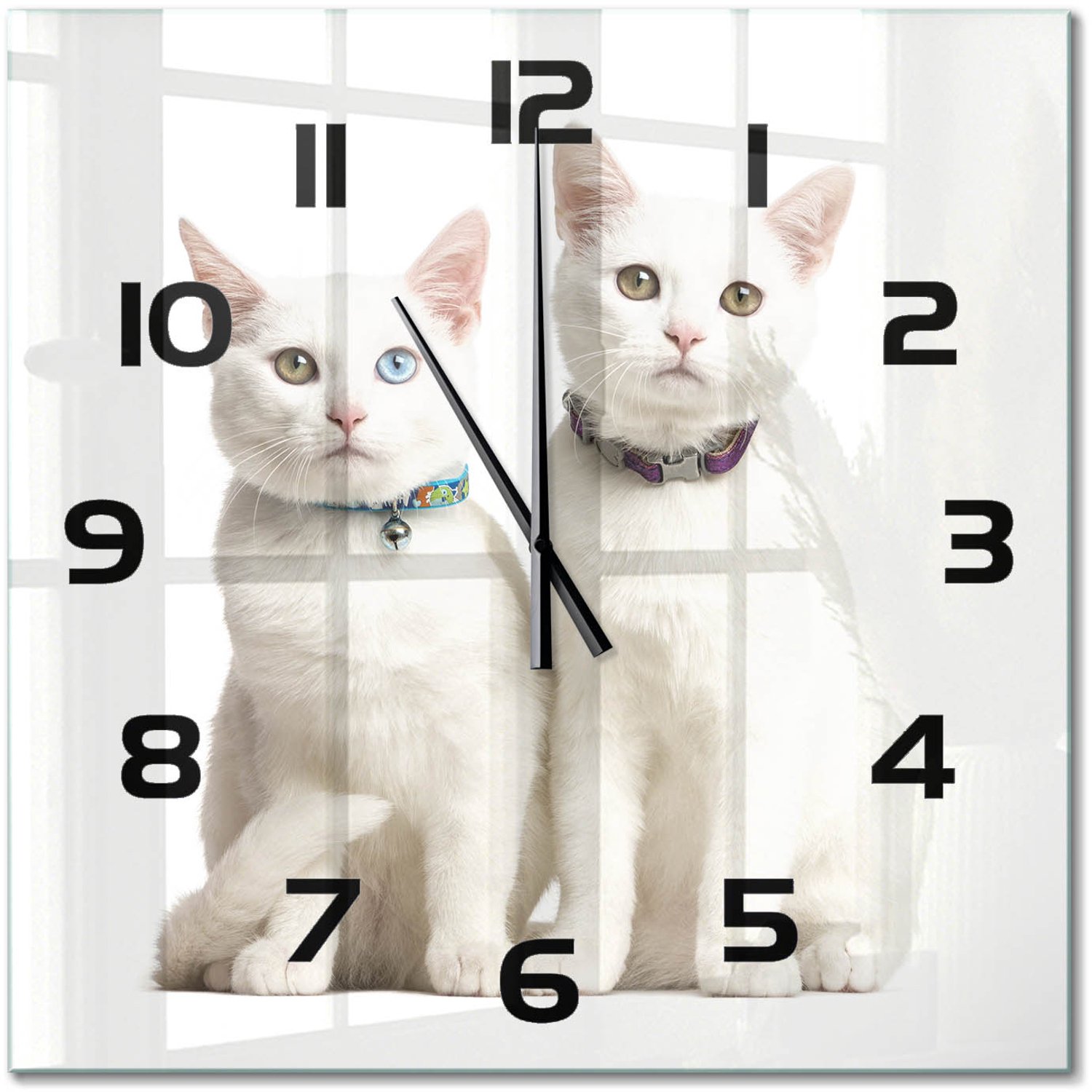 TULUP Wandklok - Witte katten Glazen Klok Met Print - 60x60 cm - Wit Wandklok Glas Met Motief - Zwarte handen - Vierkante Klok - Wandklok Glas Decoratie - Gekleurde Glazen Klok