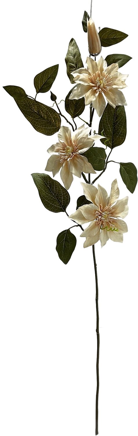 homebound by ky Kunsttak Clematis 81cm beige