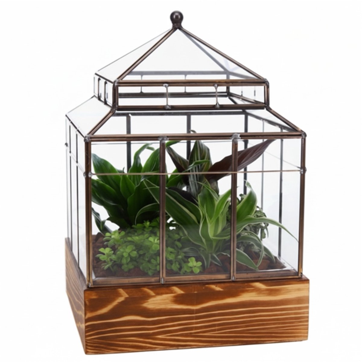 Groenplanten in semi-terrarium glazen kas | Kant en klaar terrarium | geometrisch terrarium |The Green Stylish Garden