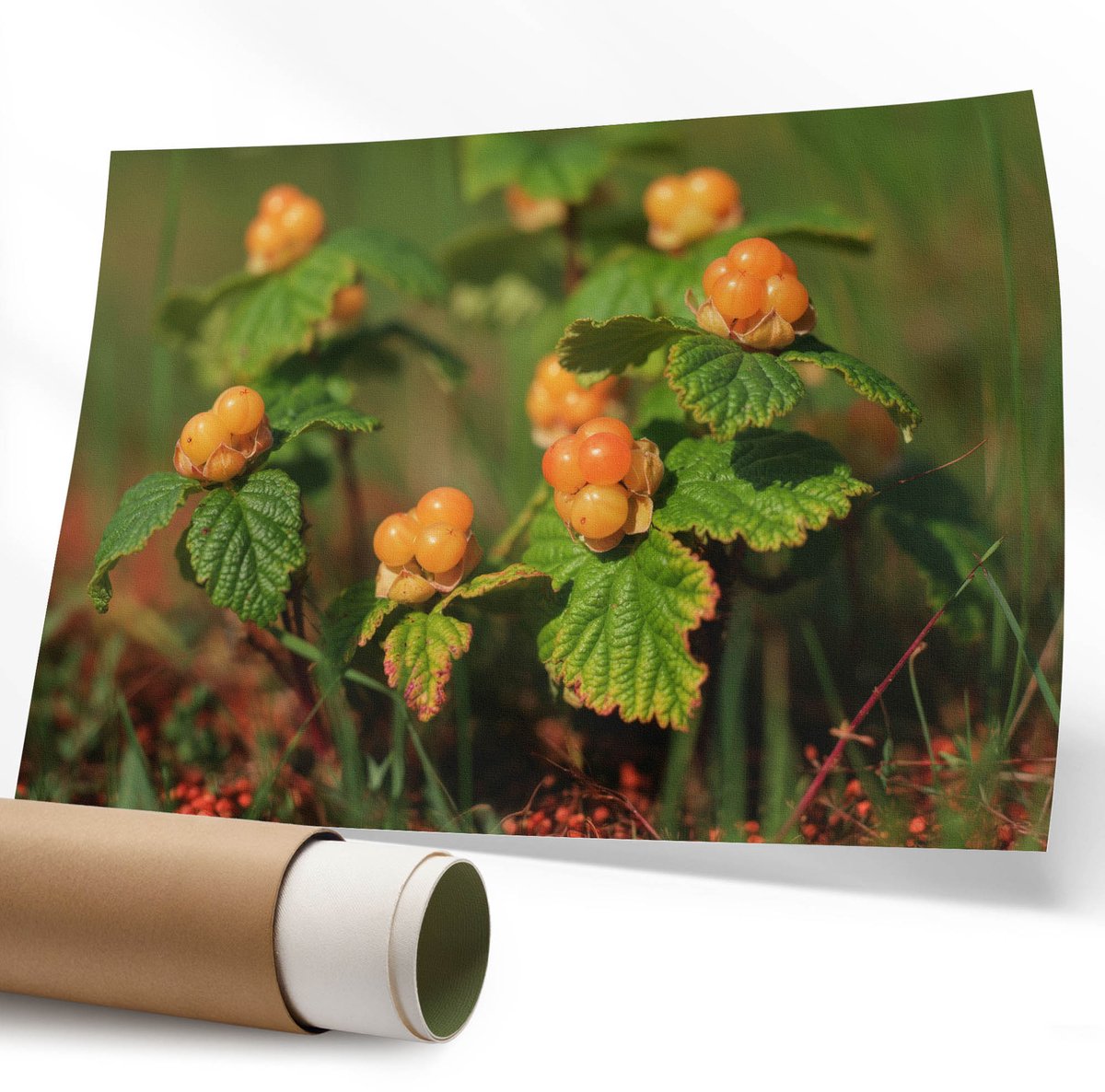 Coloray Polycanvas Wandposter - Stadspanorama, Fotografie - 594 x 840 mm - Oranje Wandposter - Rechthoek - Canvasposter - Woonkamer - Modern