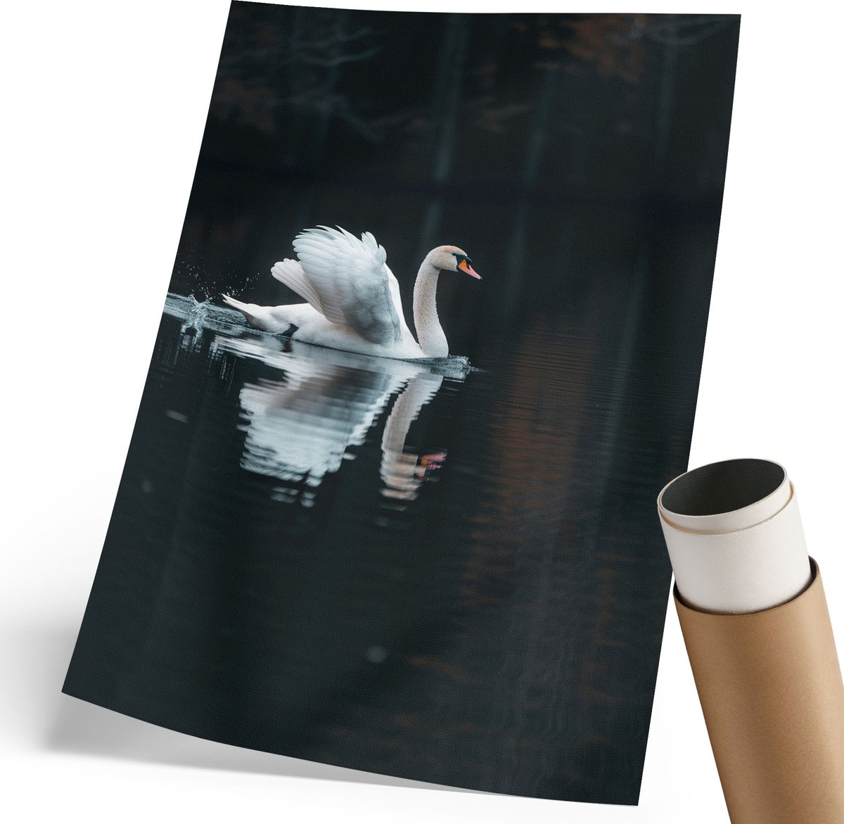 Coloray Polycanvas Poster - Zwaan In Het Water, Fotografie - 210 x 297 mm - Zwart Kunst - Rechthoek - Kunstposter - Woonkamer, Slaapkamer, Kantoor - Klassiek