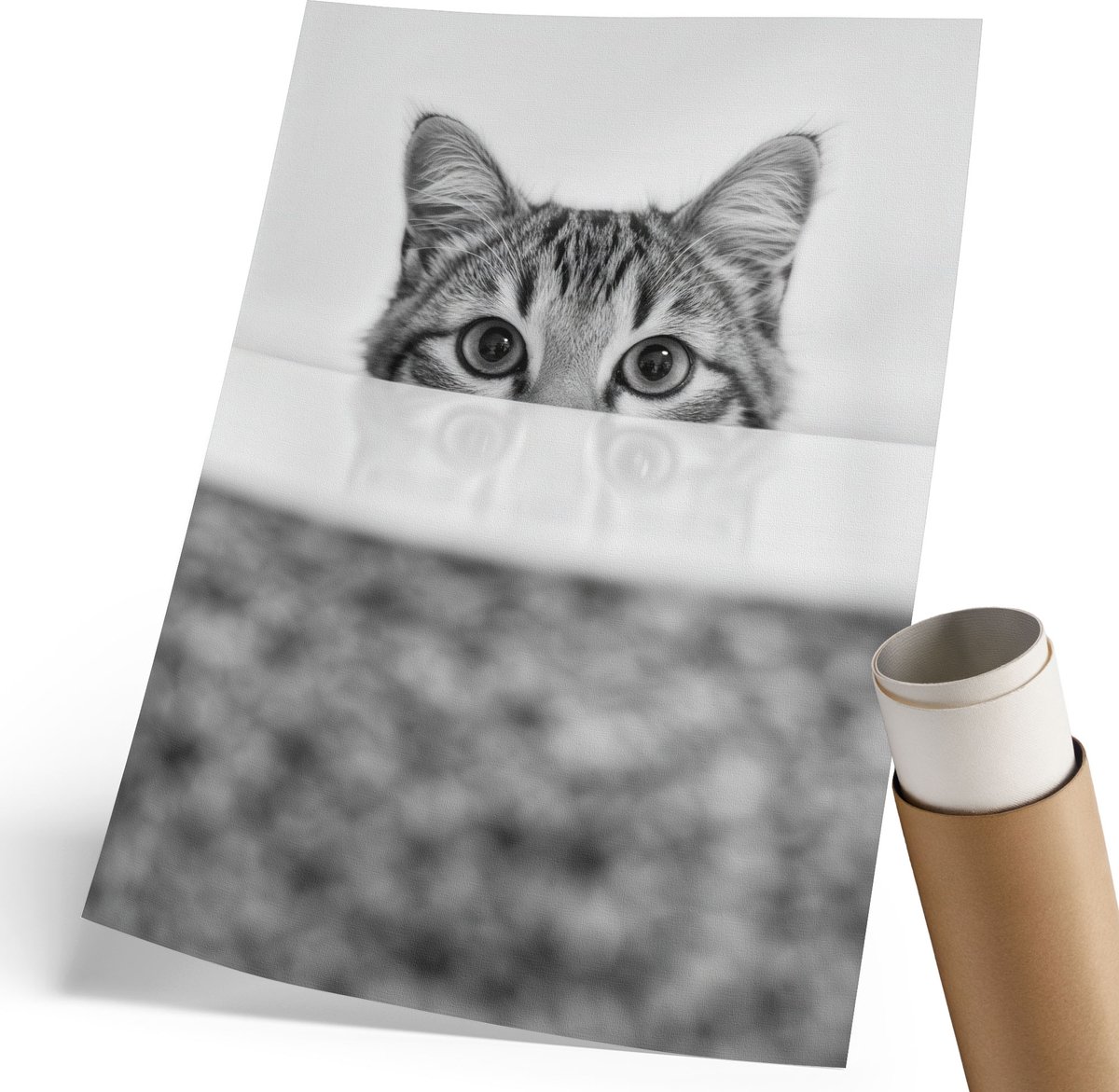 Coloray Polycanvas Poster - Kattenportret, Fotografie - 210 x 297 mm - Zwart-wit Wandposter - Rechthoek - Muurdecoratie - Woonkamer, Slaapkamer, Kantoor - Minimalist