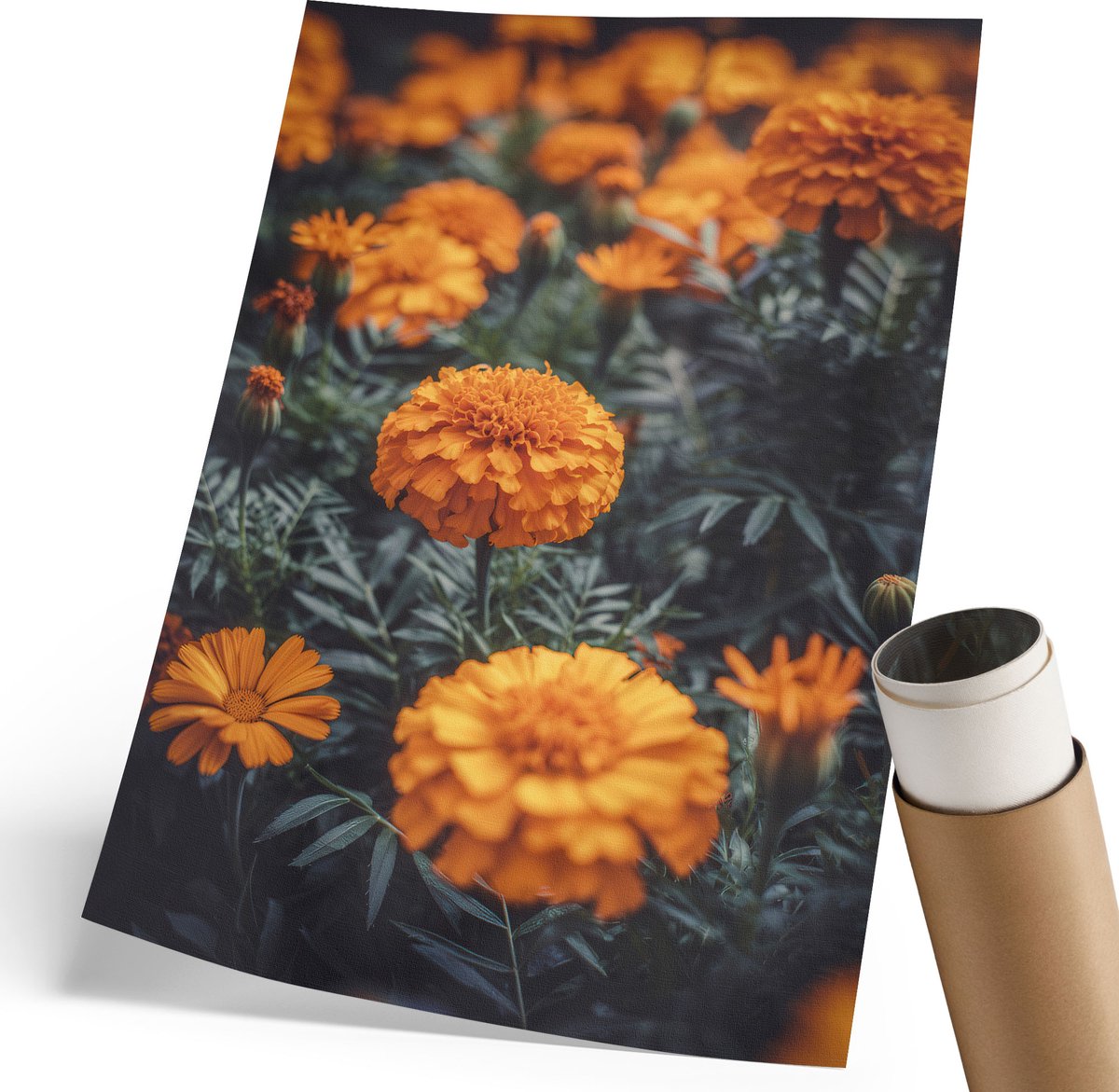 Coloray Polycanvas Poster - Zomertuin, Fotografie - 210 x 297 mm - Oranje Wanddecoratie - Rechthoek - Decoratieve poster - Woonkamer, Slaapkamer, Kantoor - Klassiek